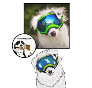 Braille & Wink The Double Merles cartoon colliemoji