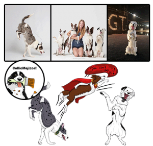 supercollies cartoon colliemoji