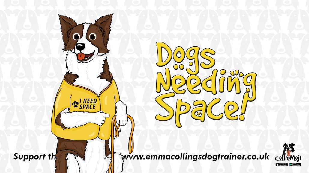 reactive dogs space need