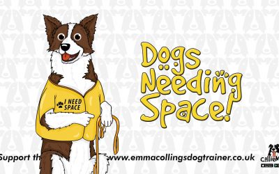Space needed dogs – A true experience