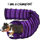 collie cartoon emoji agility
