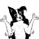 border collie cartoon care