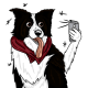 border collie cartoon selfie