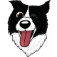 collie cartoon tongue