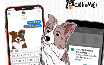 About Emojis size and apps permission